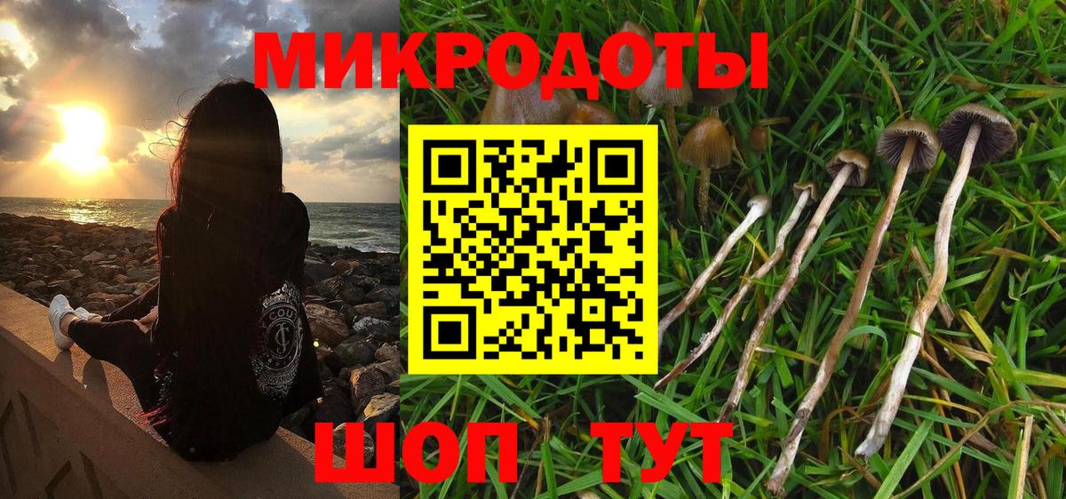 Псилоцибиновые грибы мицелий  Вход с VPN  Кимры 